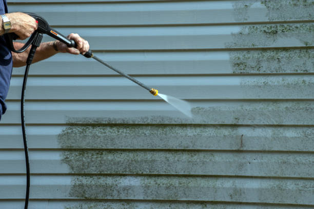 Professional Pressure Washing in Brandon, MS